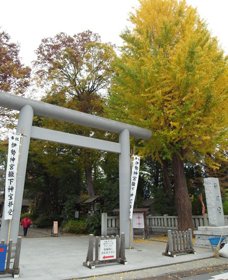 神明宮・阿佐ヶ谷7