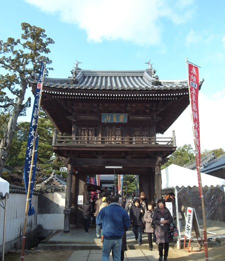 与田寺9