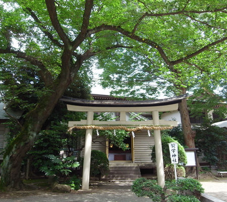 前鳥神社0