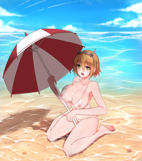 【ペロペロ】 艦隊娘の欲しいなぁ |ω・`)チラチラ!その7746