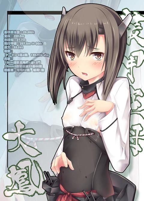 めちゃヌけた艦隊これくしょんエロ画像まとめその4640