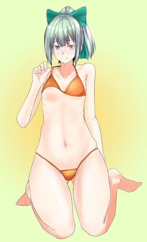 艦隊娘のでヌこう！エロ画像まとめ(ﾟдﾟ)6511