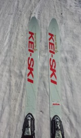 GSR21