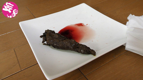 スカトロ 奈々 (4)