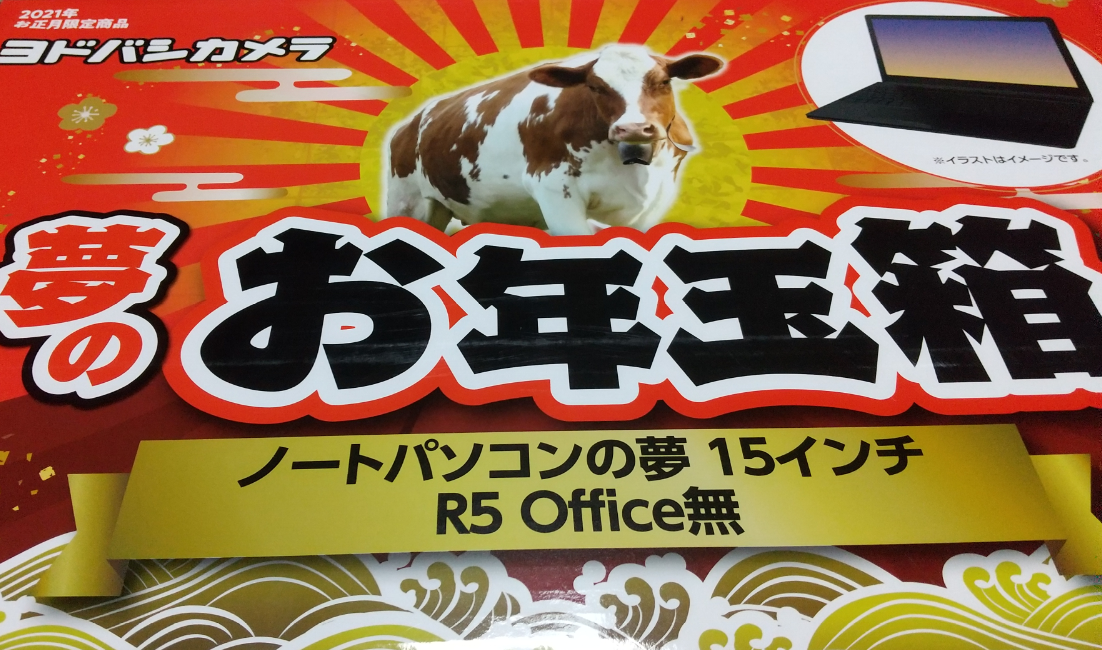 ヨドバシのpc福袋 開けてみたよ 痴民の痴識