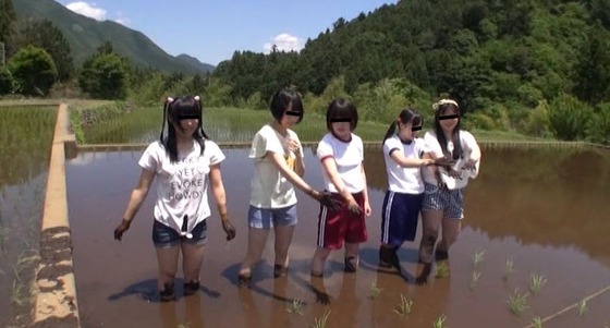 農業体験に来た少女たちに悪戯を繰り返す農夫のわいせつ投稿映像