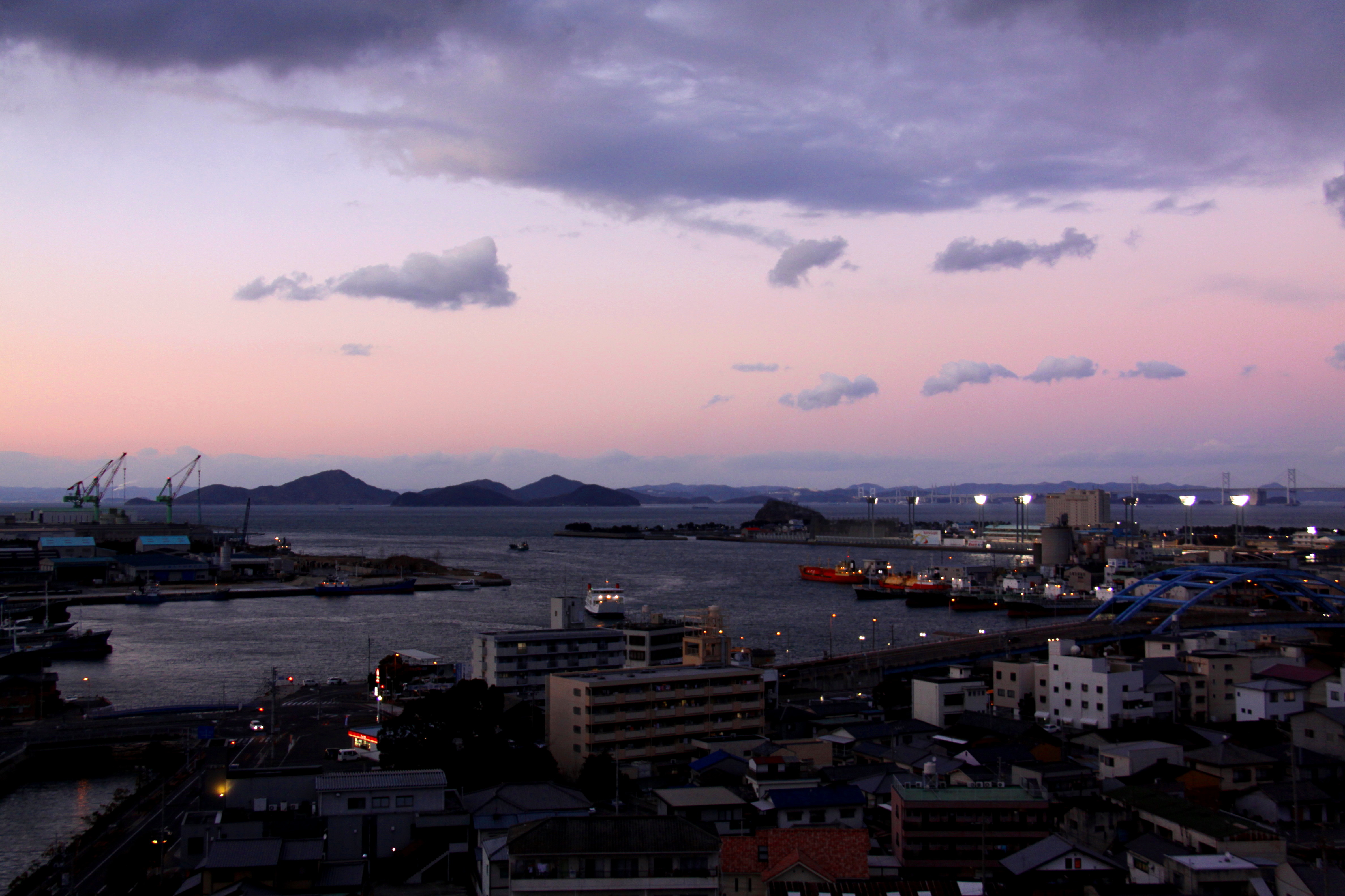居酒屋の天ぷら メゴチ天ぷら 丸亀 浜味家 旬彩爽海 星の川別荘
