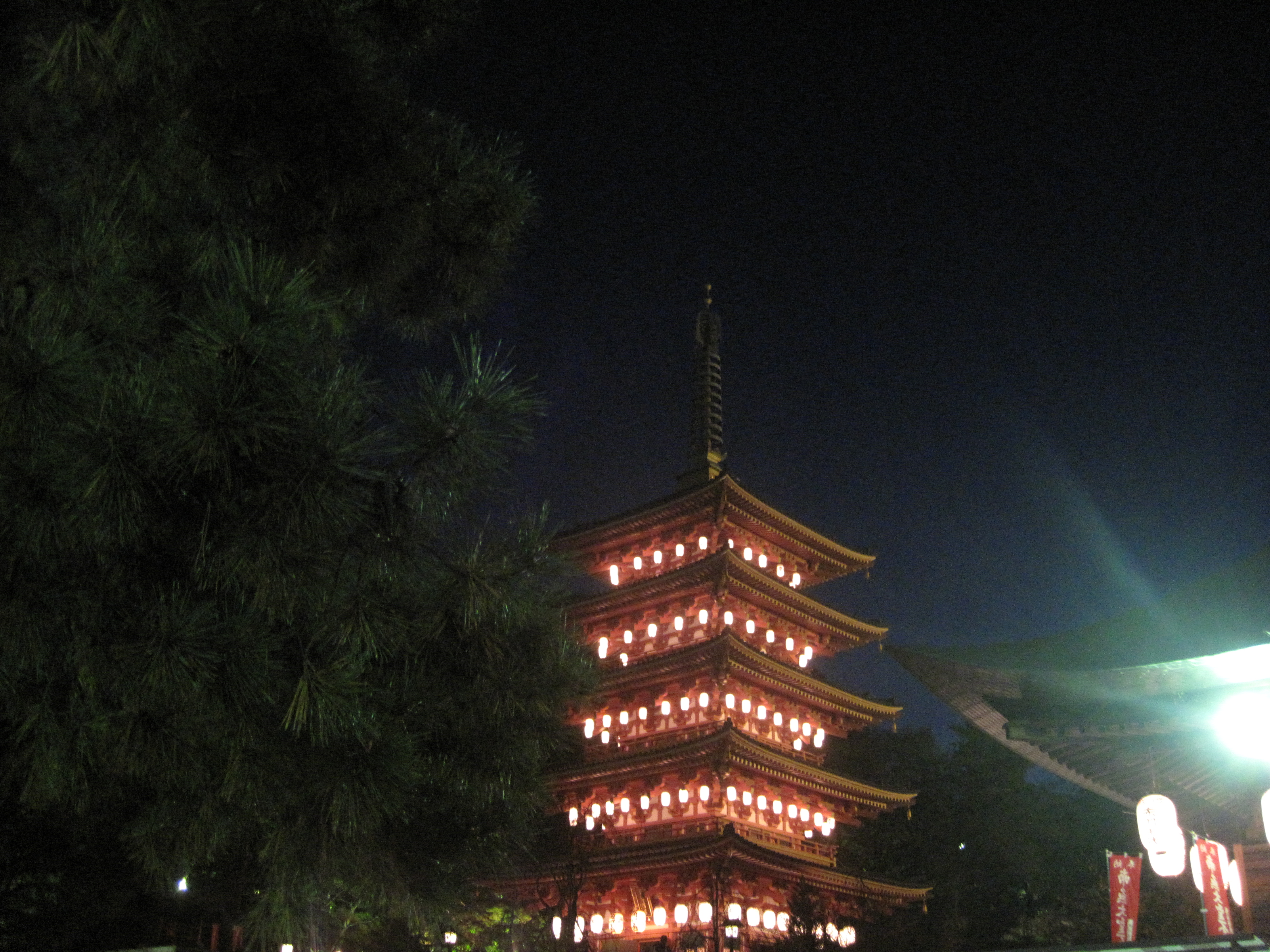 高幡不動 2 たるすけ 旬彩爽海 星の川別荘