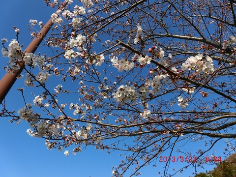 CIMG0161