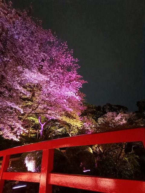 IMG20260406213128