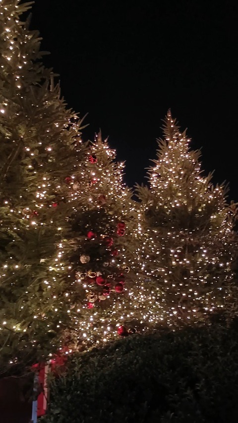 IMG_20251209_19172263