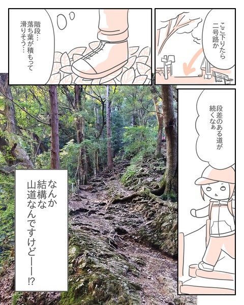 高尾山12-2