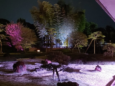 IMG20260406215453