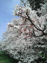 0c68b9b8.jpg