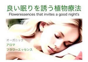 2024バラ祭良い眠り