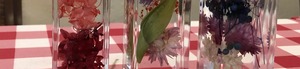 IMG_4653t