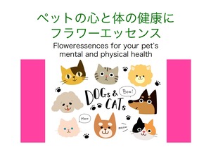 2024バラ祭ペット