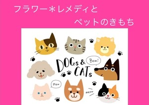 ペットのきもち2024上
