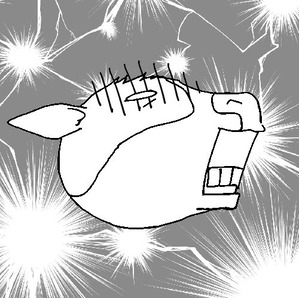 20260427
