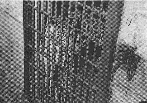 弥富市 動物レストラン エルザ 飼育係が豹に噛まれる 1986年 ਊ 弥富市 動物レストラン エルザ 飼育係が豹に噛まれる 1986年 ਊ