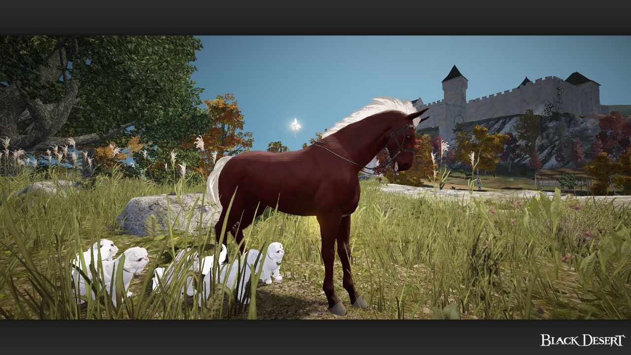 9 21メンテ馬関係チェック 韓国グロラボ馬関係チェック 黒い砂漠pc Candyrain のひとりごと