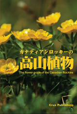 ceb38a67.jpg
