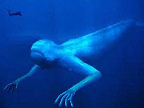 ヘンチクリンな深海魚 可能っち 株ライフ ヘンチクリンな深海魚 可能っち 株ライフ