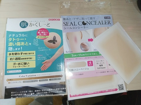 SNOW_20220915_025921_919