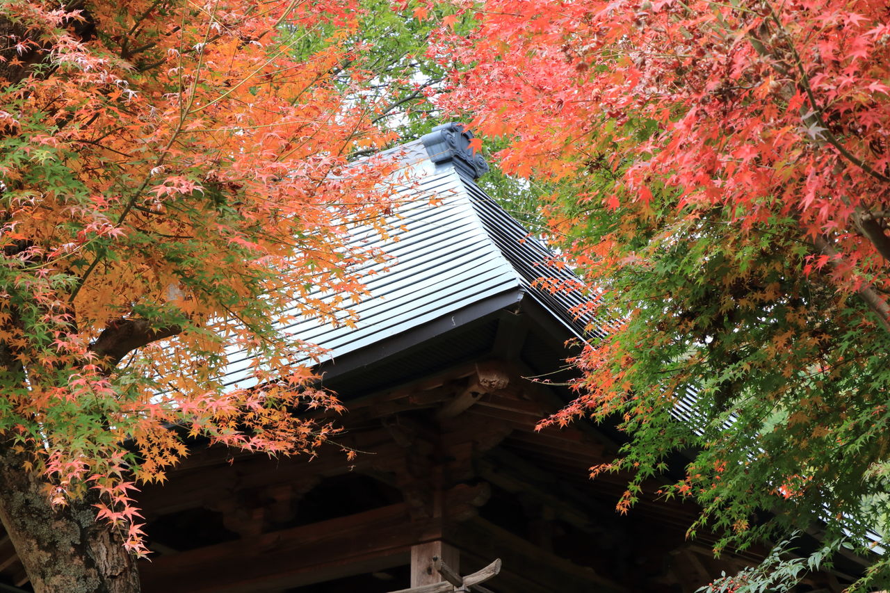 EOS 80D で散歩しよう
      山口市鋳銭司 両足禅寺
    コメントトラックバック