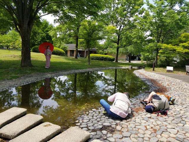 190518010