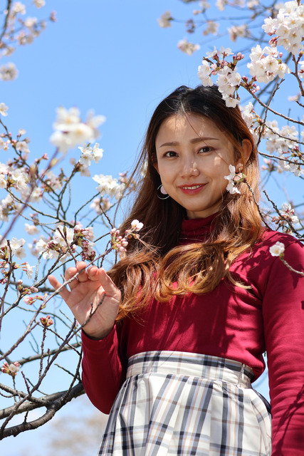 253回026_望月(253回)