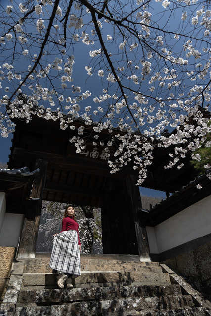 253回002_竹内(253回)