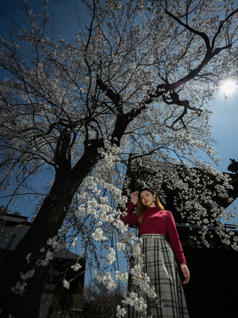 253回014_竹内(253回)