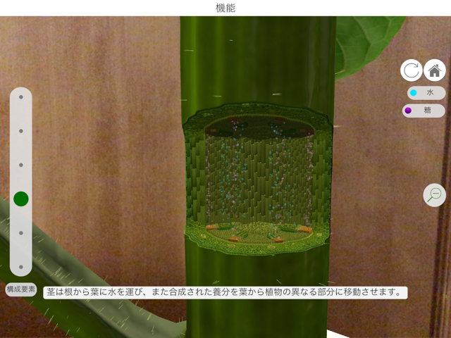 道管をarで見せる Ipadとiphoneで教師の仕事をつくる 道管をarで見せる Ipadとiphoneで教師の仕事をつくる