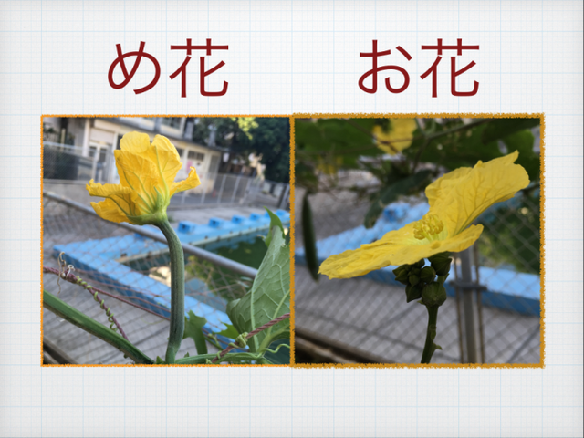 今年の実践を振り返る Ipadとiphoneで教師の仕事をつくる