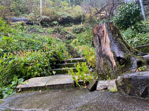 八百萬大神に家業発展を祈願し伏見稲荷大社(稲荷山山頂)へ。