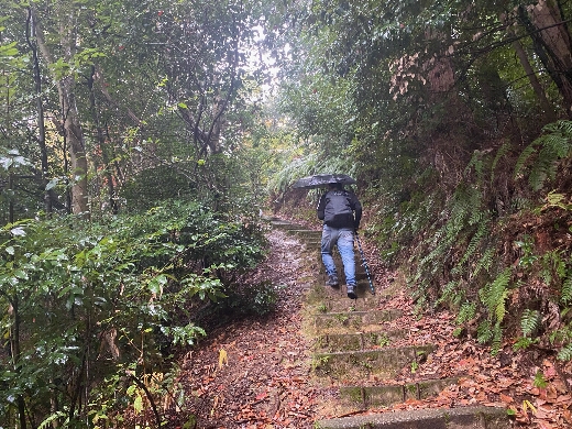 ひぃひぃ言いながら伏見山頂上を目指す!
