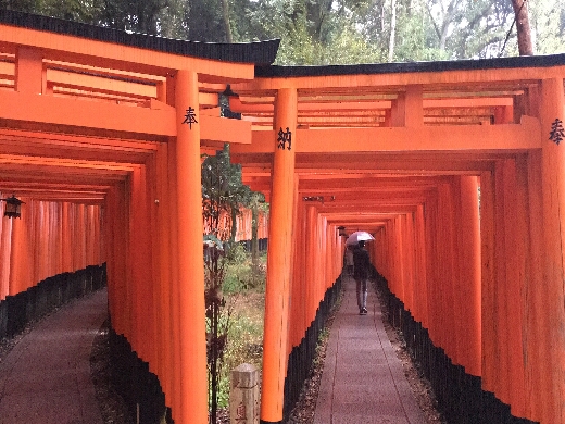 まずは有名な千本鳥居を抜けていきます。