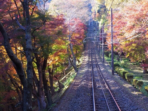 ケーブルカーに乗って高尾山へ。最急勾配は31度18分。国内最大傾斜を誇るケーブルカーです。