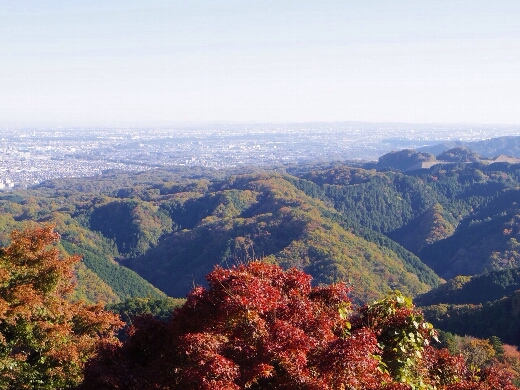 高尾山から都心方向を望む。快晴で六本木ヒルズや東京タワーやスカイツリーも見えました。