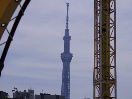 花やしき園内からは東京スカイツリーも見えます。新旧タワー対決的なw