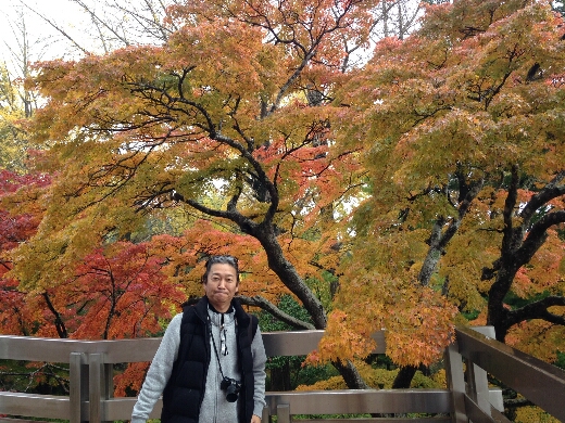 成田山平和大塔周辺の紅葉もいい感じに色づいていましたよ。