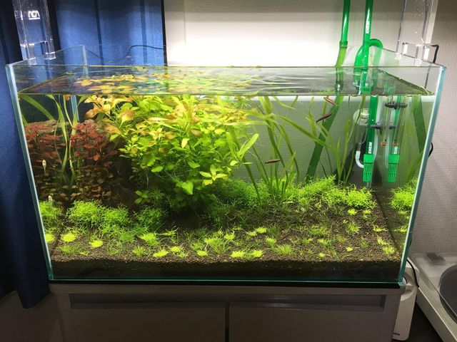 リベラソイル 9リットル 高級