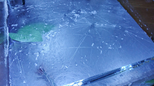 画像 水槽の油膜でここまで酷いのは初めて見た 原因はなんだろう アクアログ 画像 水槽の油膜でここまで酷いのは初めて見た 原因はなんだろう アクアログ