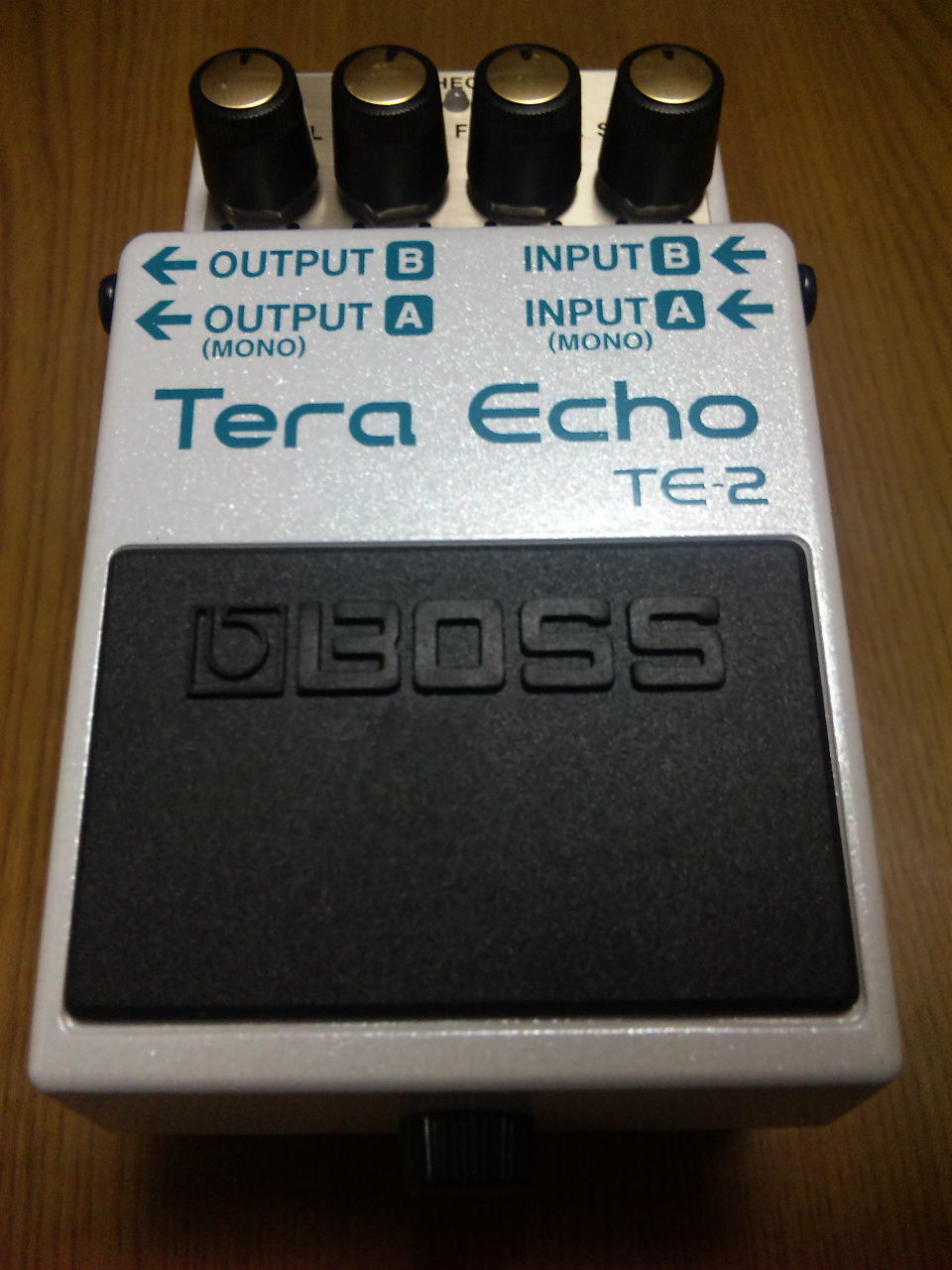 ネムの宿:BOSS TE-2 Tera Echo