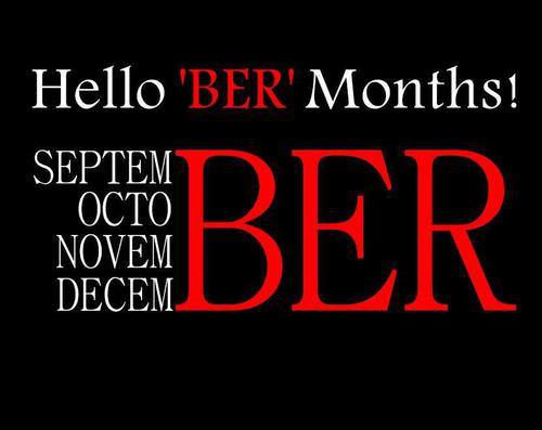 BER_Months