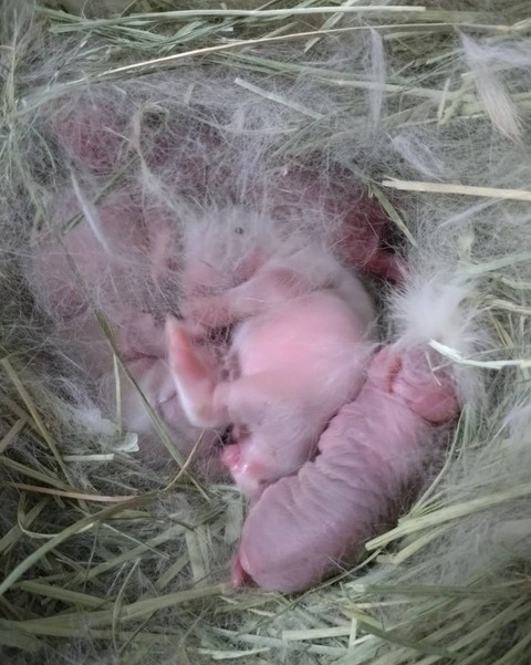 2025-04-16-17-18-14-027