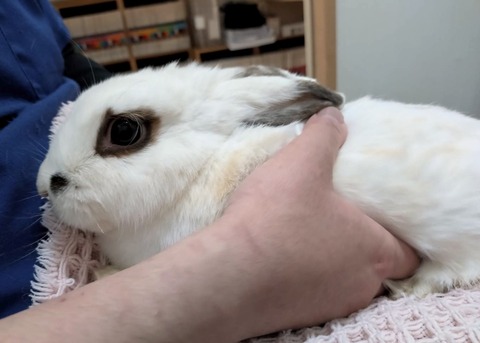 2025-04-16-17-14-05-245