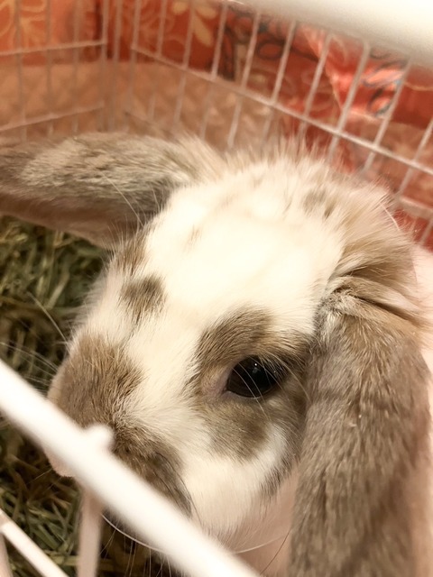 2025-12-06-01-00-40-687