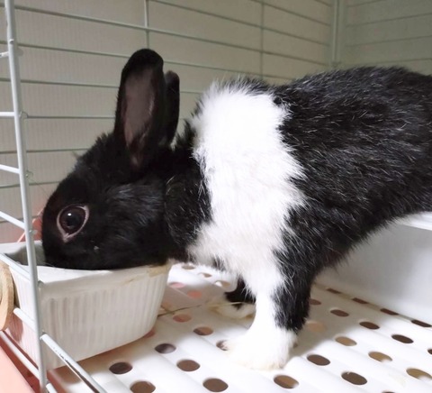 2025-12-06-20-22-45-445